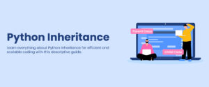 Python Inheritance: A Comprehensive Guide