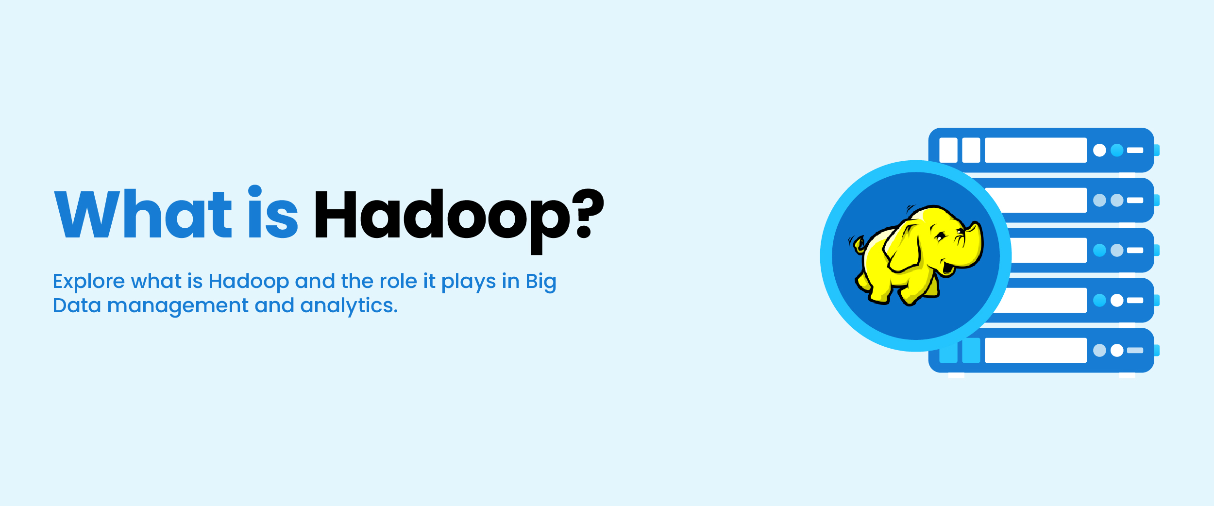 Exploring Hadoop A Comprehensive Guide